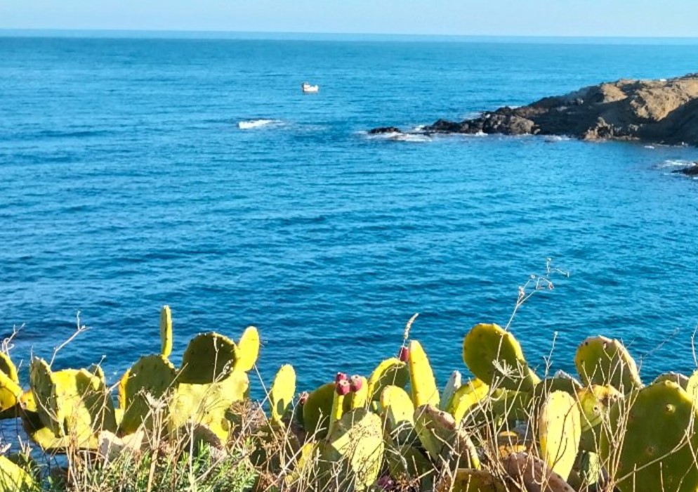 biomarato lloret foto