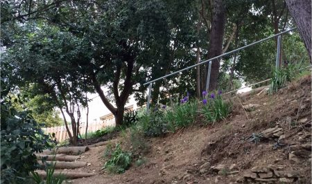 Voluntariat ambiental al Bosc de Turull