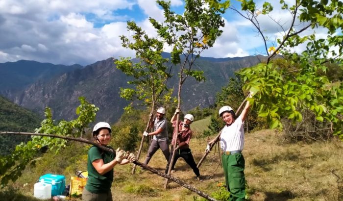 boscos muntanya esterri cardos