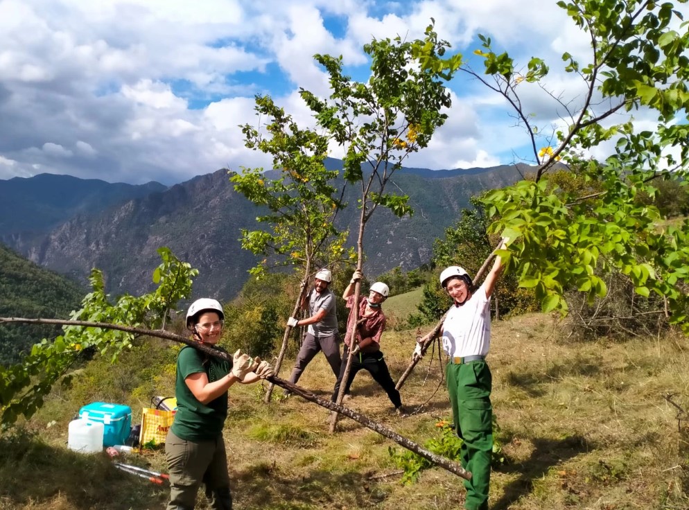 boscos muntanya esterri cardos