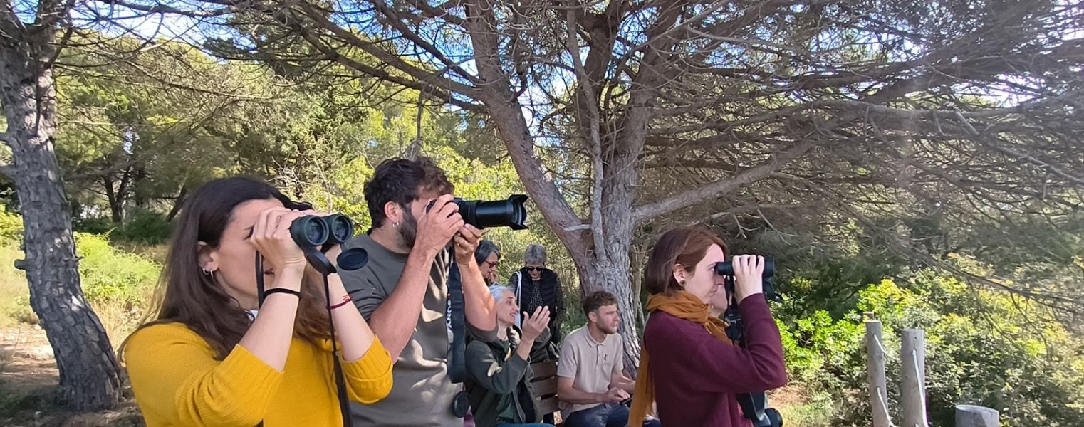 Butlletí Voluntariat Ambiental Maig 2026