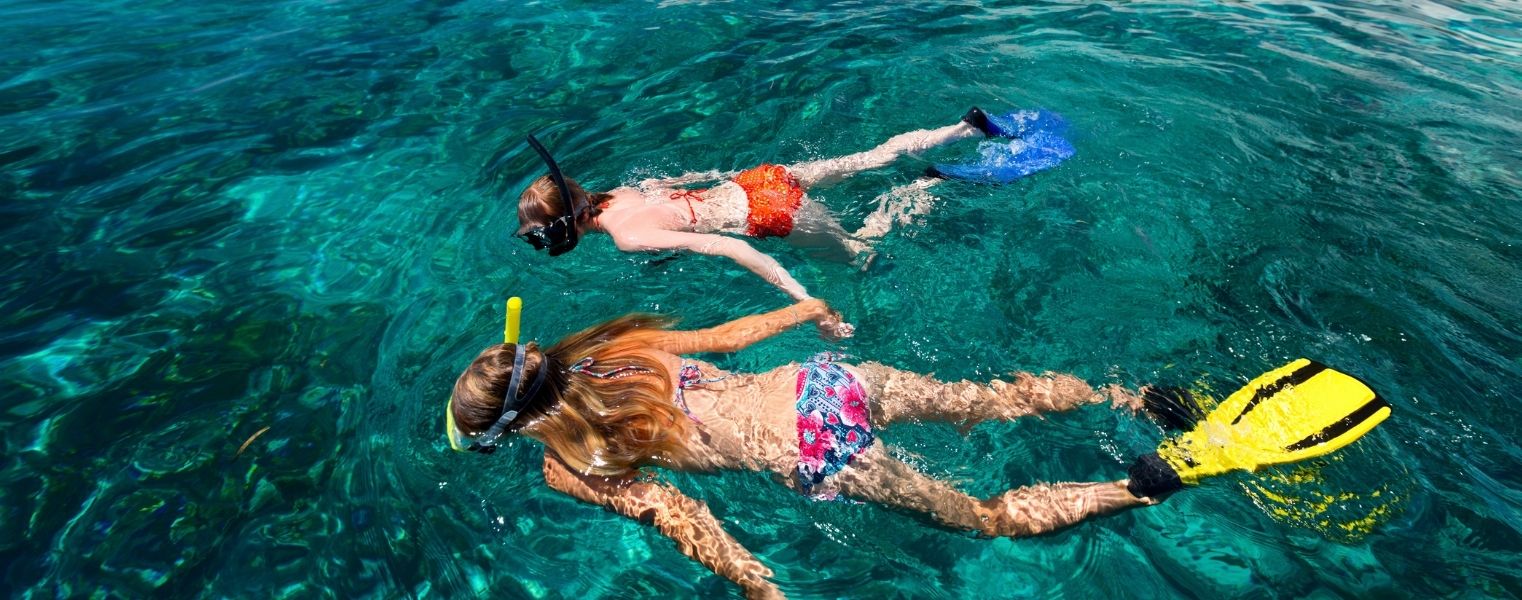 Butlletí Voluntariat Ambiental Juliol 2026