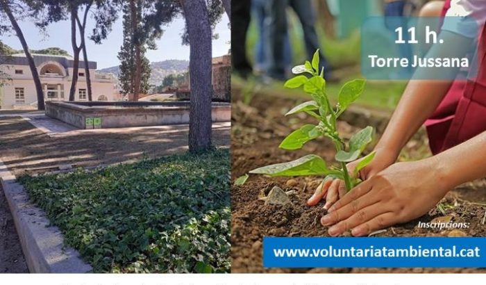 voluntariat ambiental a Torre Jussana