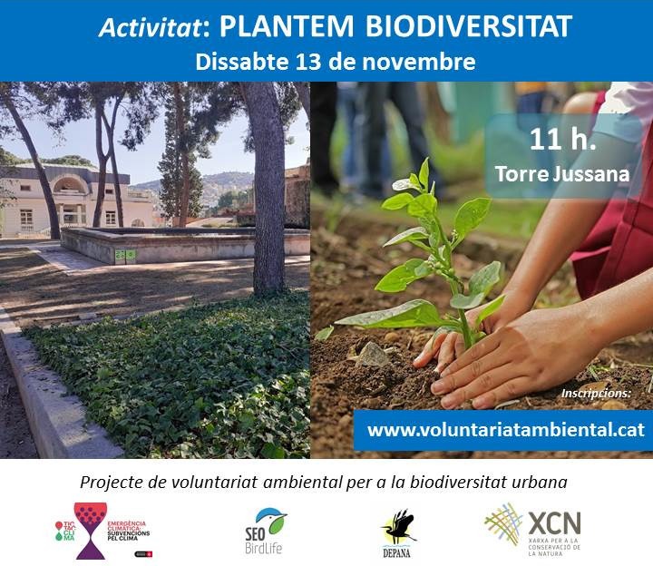 voluntariat ambiental a Torre Jussana