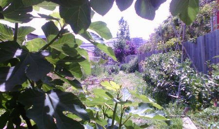 casa orlandai espai gardenyes