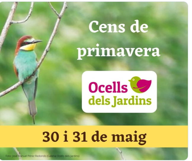 cens primavera
