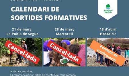 coronavirus Habitats