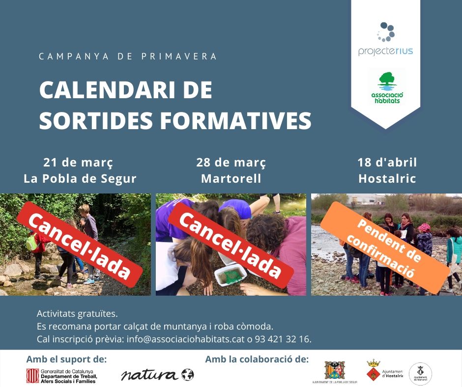 coronavirus Habitats