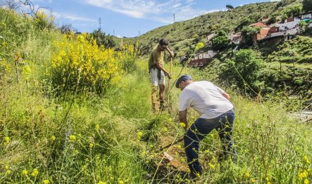 Voluntariat ambiental amb Depana