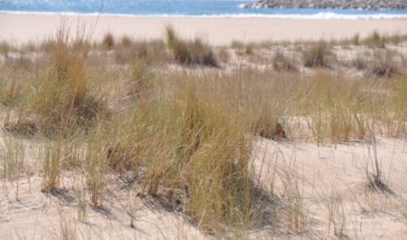 dunes torredembarra
