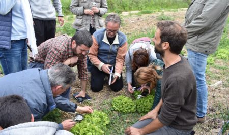 emys escola naturalistes