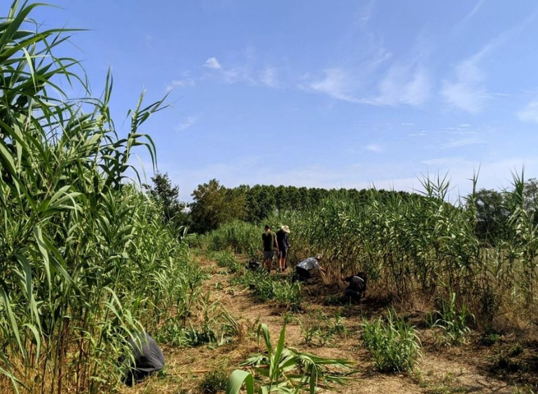Voluntariat ambiental a l'estany de Sils amb la Fundació Emys