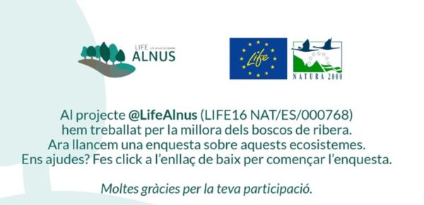 enquesta life alnus