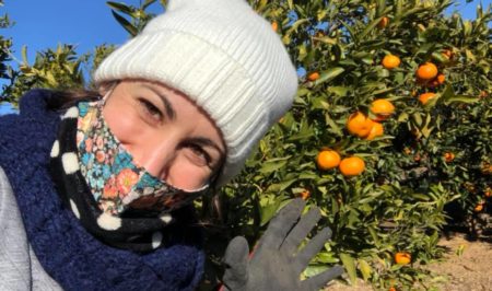 espigolada mandarines gener