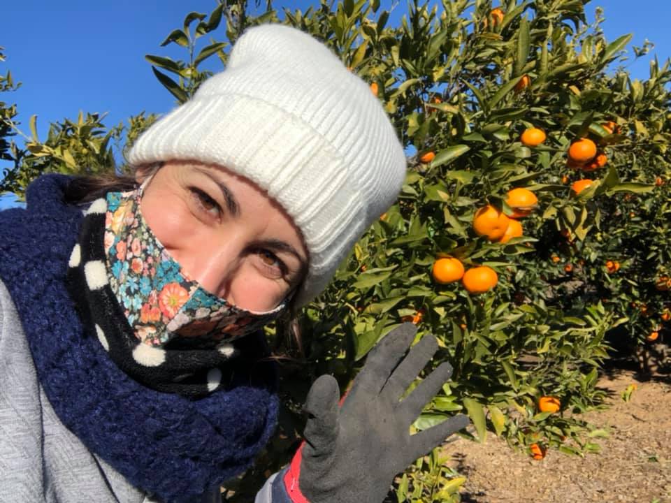 espigolada mandarines gener