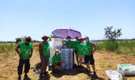 espigoladors mascareta 2