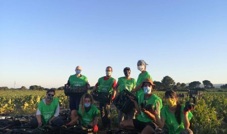 espigoladors mascareta