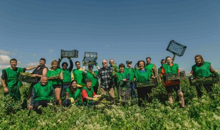 espigoladors voluntaris