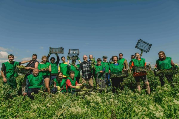 espigoladors voluntaris