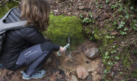 Grup de Defensa del Ter