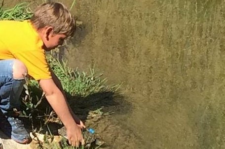 Voluntariat ambiental amb La sinia