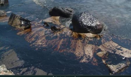 galipot cap de creus