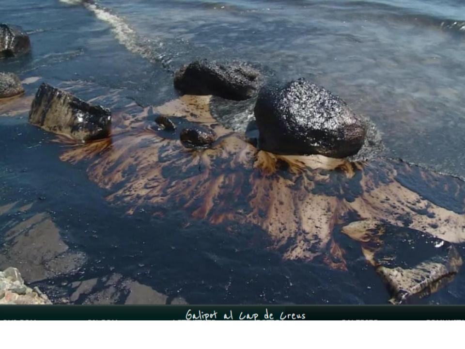 galipot cap de creus