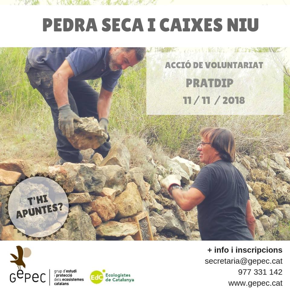 gepec pedra seca