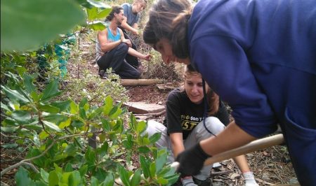 gepec voluntariat poblet