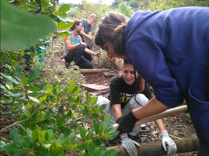 gepec voluntariat poblet