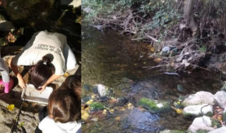 gn solsones riu negre