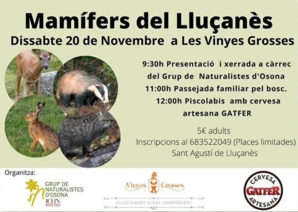 gno mamifers lluçanes
