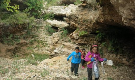 graellsia vol amb tolls sant antoni