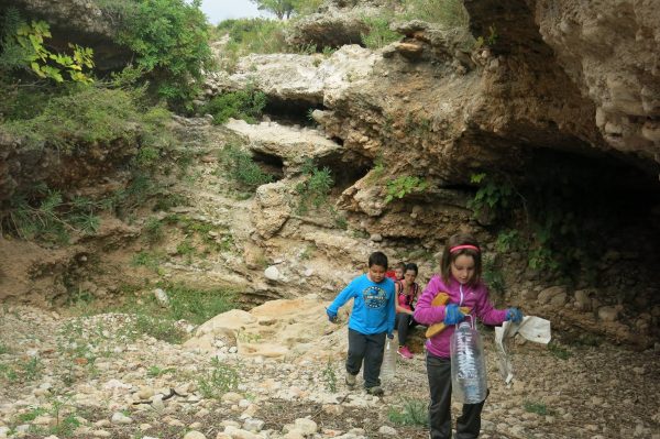 graellsia vol amb tolls sant antoni