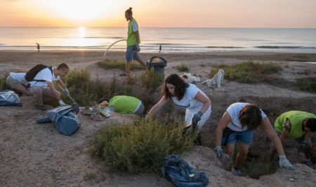 greenpeace Fonollosa