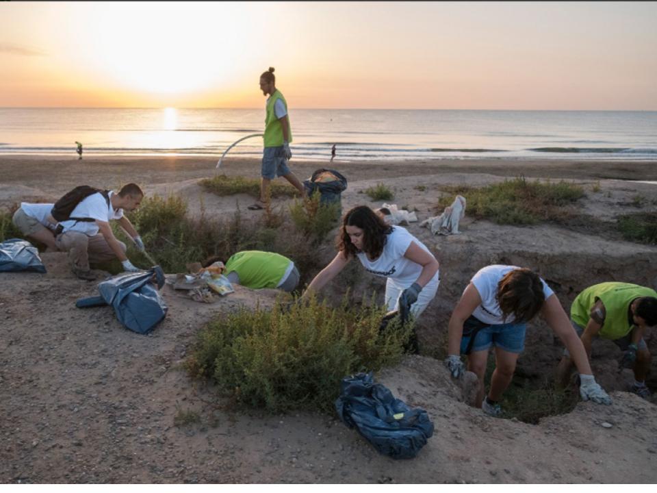 greenpeace Fonollosa