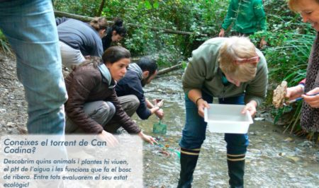 Voluntariat ambiental a Cerdanyola