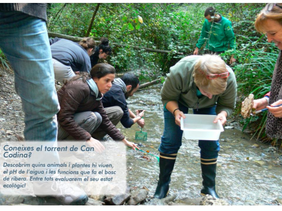 Voluntariat ambiental a Cerdanyola
