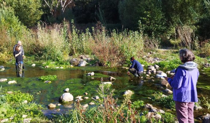 projecte rius primavera 22