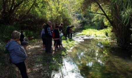 habitats riu de bitllles