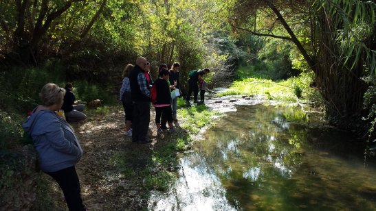 habitats riu de bitllles