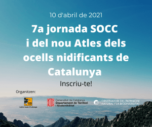 jornada socc