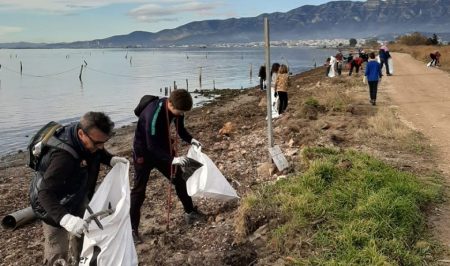 la rapita voluntariat