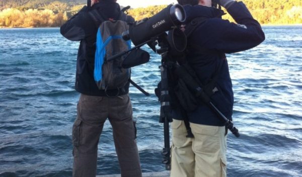 limnos_cens_ocells_2016_valle-5-769x1030