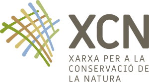 logo XCN