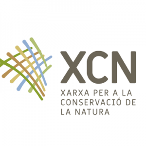 logo xcn