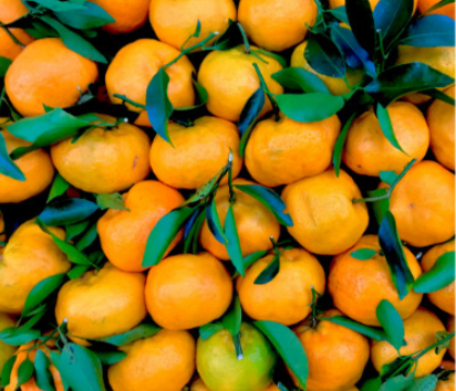 mandarines