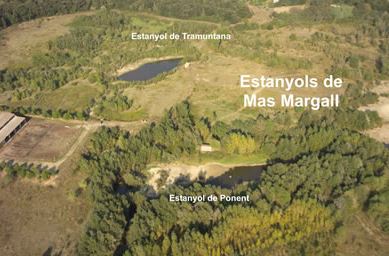 Estanyols de Mas Margall