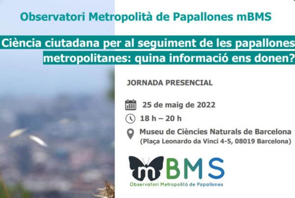 Presentació mbms a Barcelona