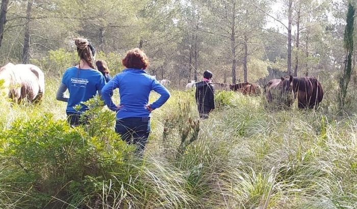 Fundació Miranda voluntariat